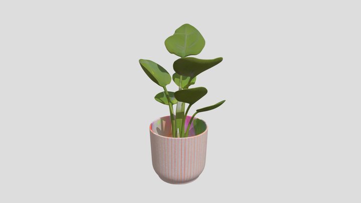 Contemporary Potted Succulent Decor 3D Prop
