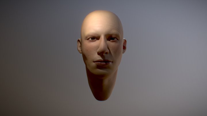 HEAD 3D Model