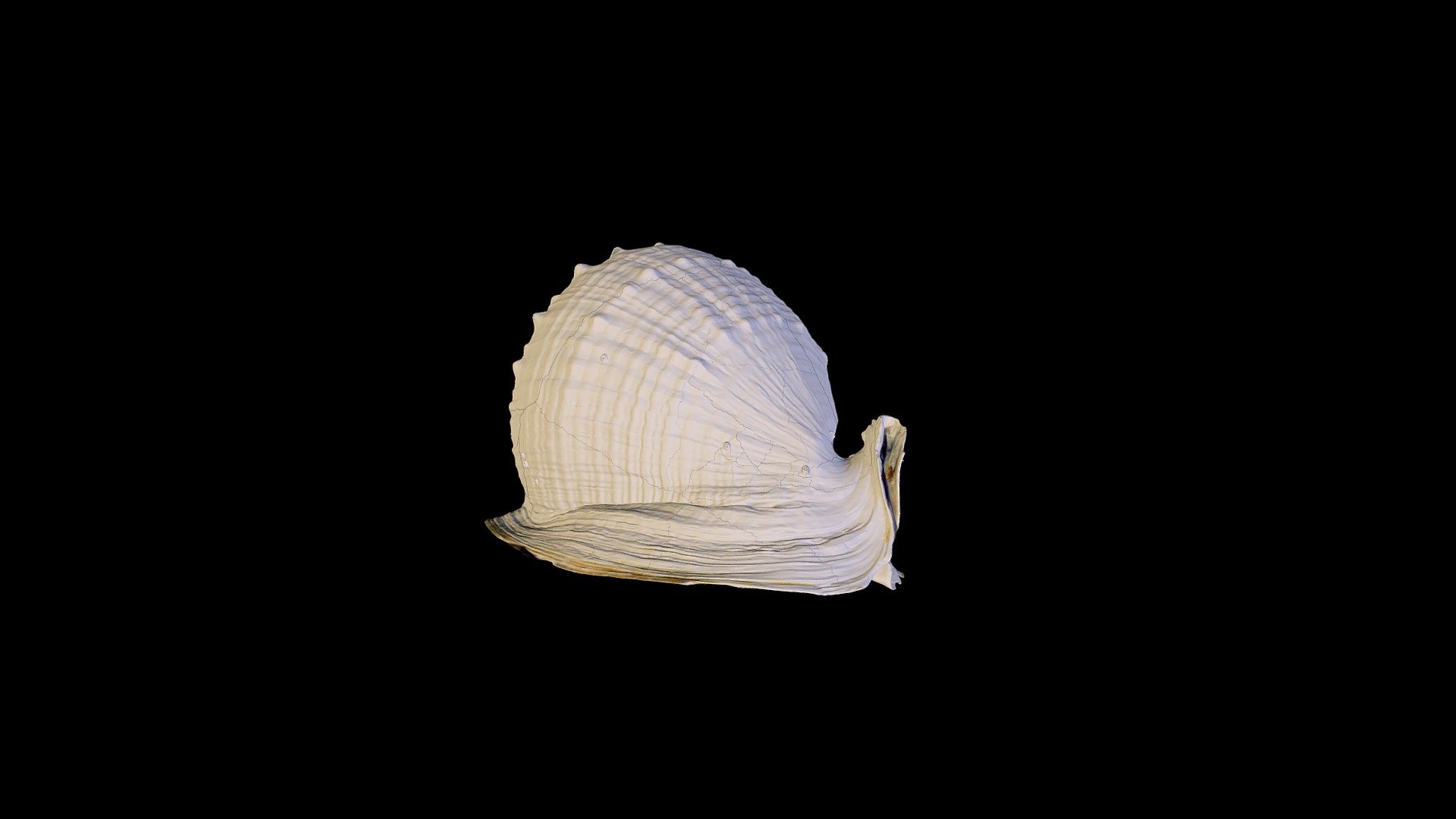 Emperor Helmet