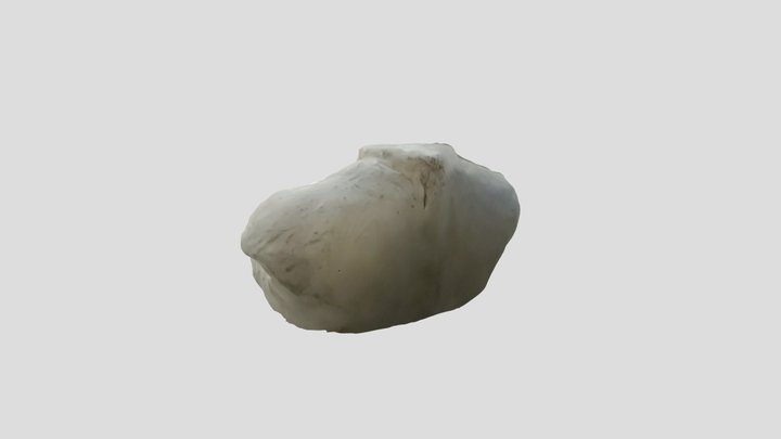 Female Torso Clay 3D Model