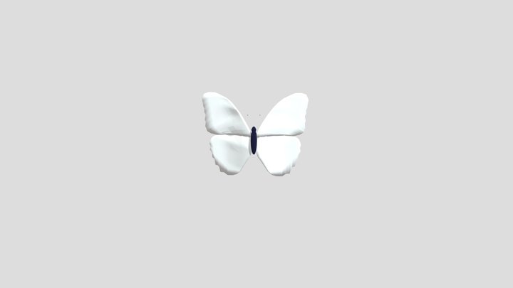 Butterfly Model with Wing Flap Animation 3D Model