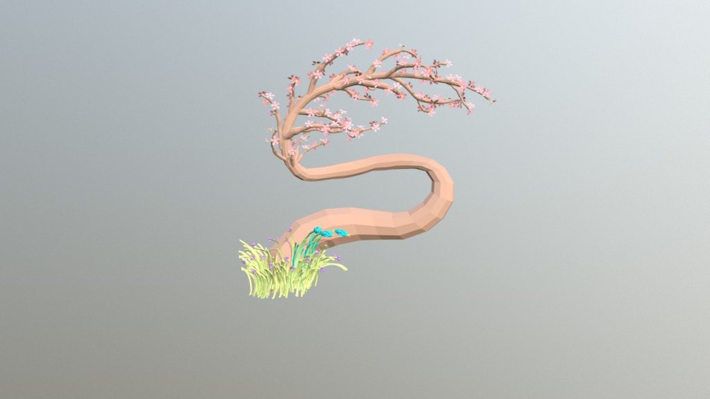 Bonsai Sakura