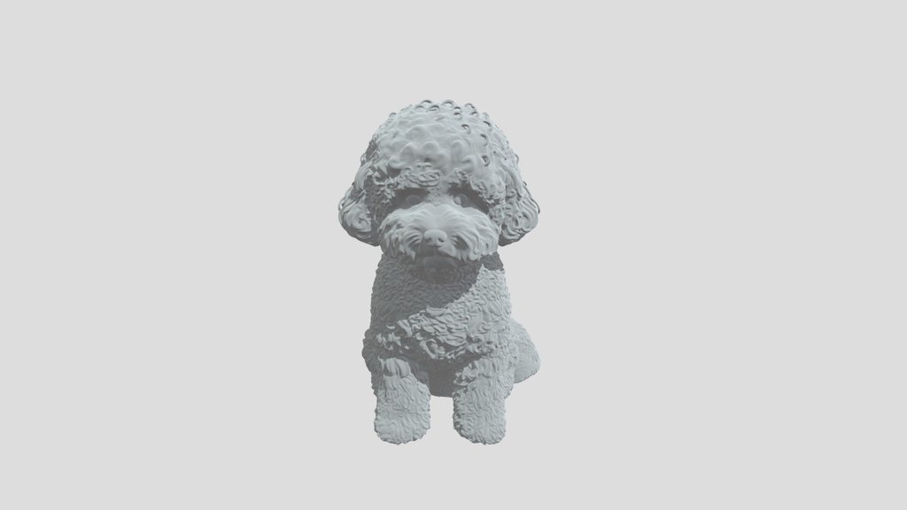 Perro