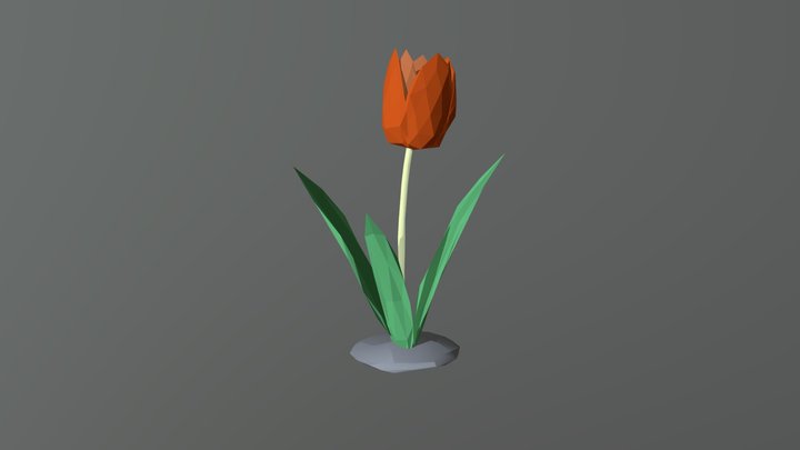 Tulip 3D Model