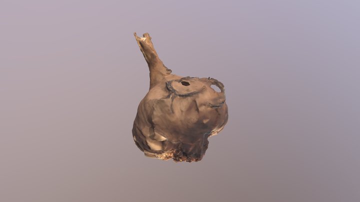 texturedMesh 3D Model