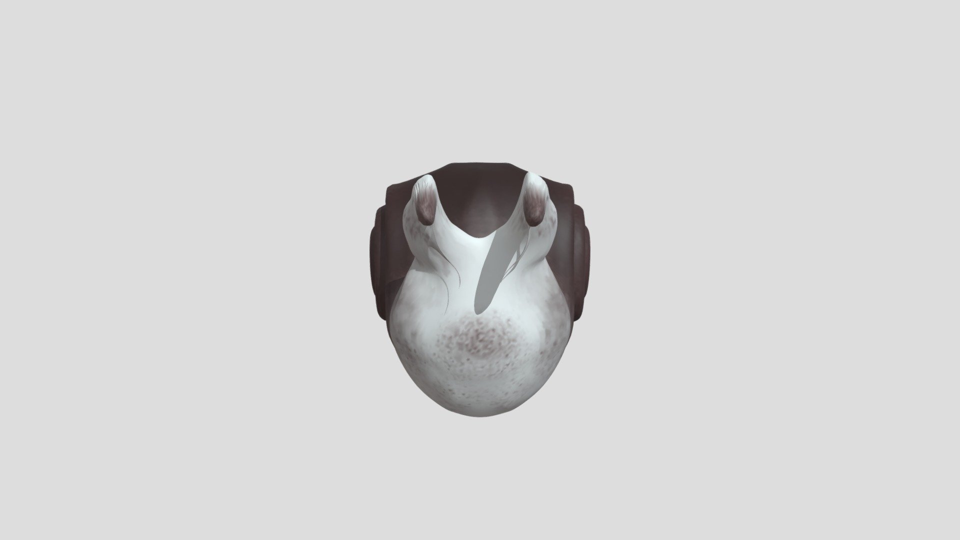 snail.
