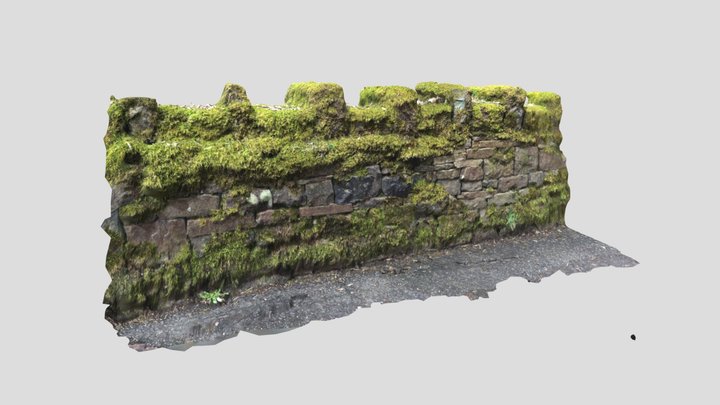 Wall 01 3D Scan - UK 3D Model