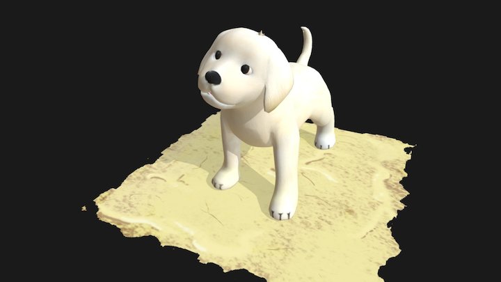 Labrador Puppy 3D Model