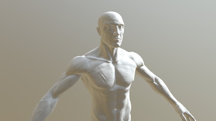 Corvo_Attano_Body_Sculpt 3D Model
