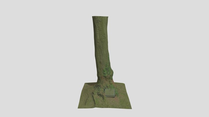 Huge Oak Tree With Gravestone Pbr Scan – Gratis 3D-model STL