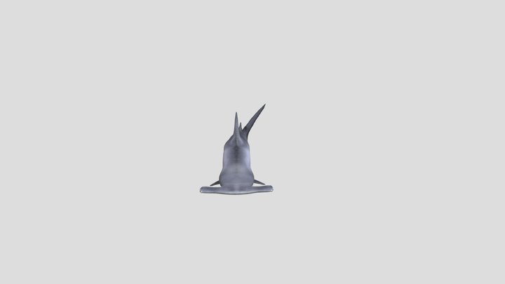 TiburonMartillo 3D Model