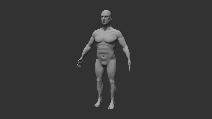 Anatomical Human Male Sculpt 3D Model