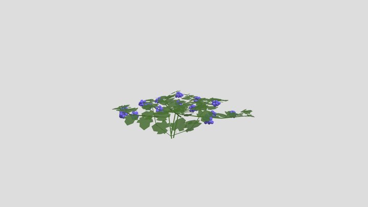Vine 3D Model