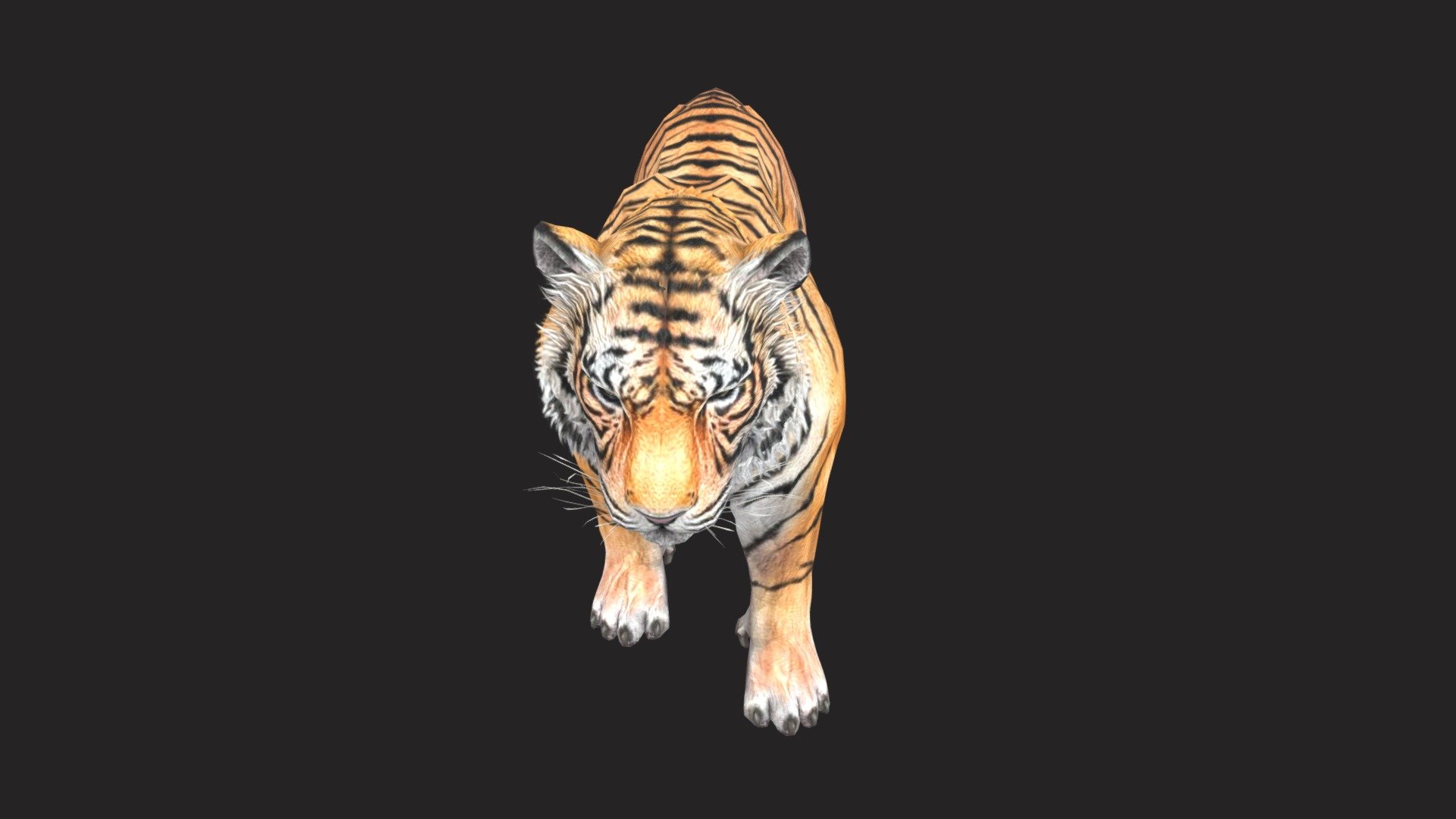 Bengal Tiger 3D, 3d, bengaltiger, animals, HD wallpaper