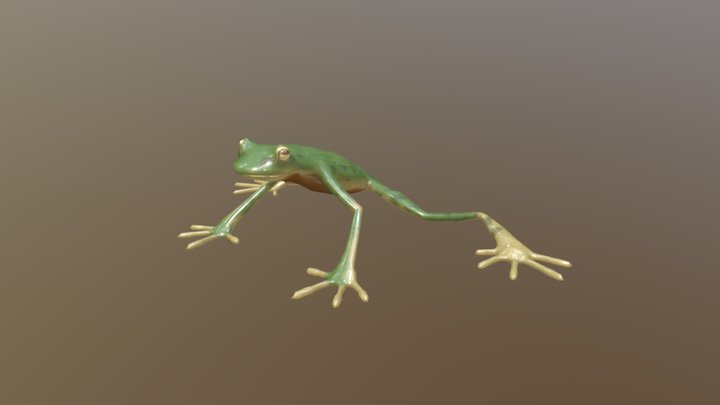 Frog 3D Model