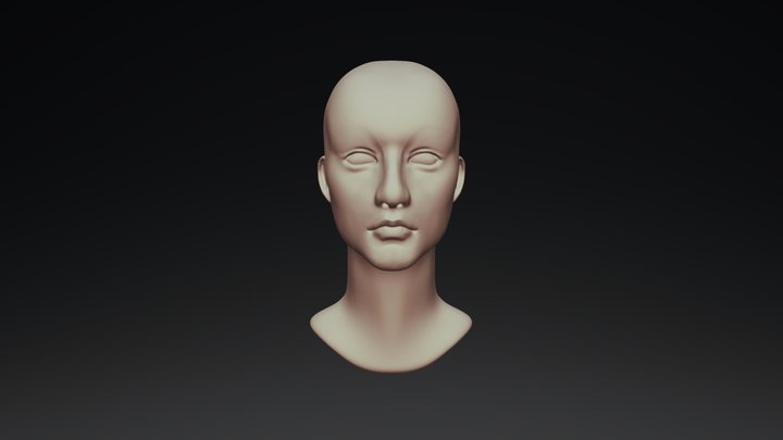 Head Sculpt 3D Model