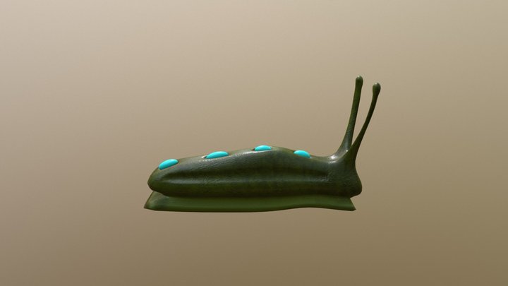 Slug 3D Model