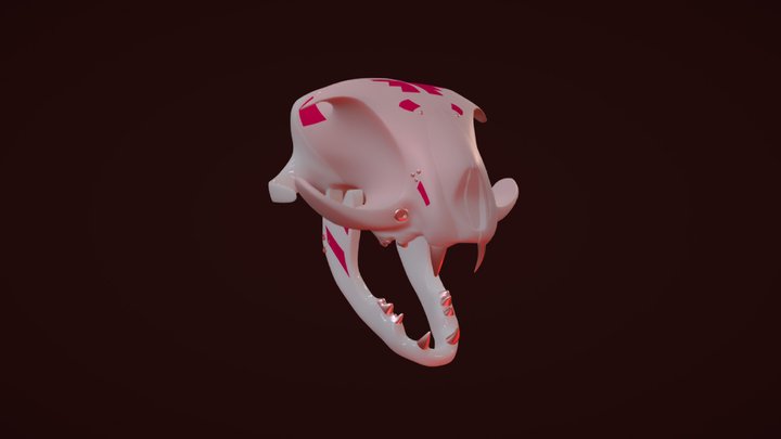 Cat Skull 3D Model