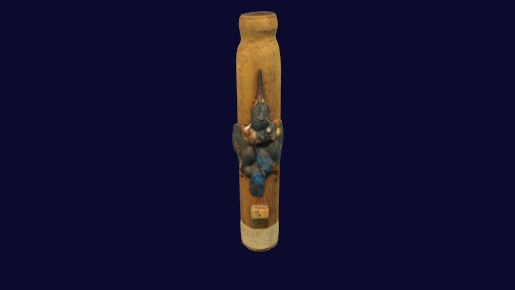 Kingfisher nailed to mast
