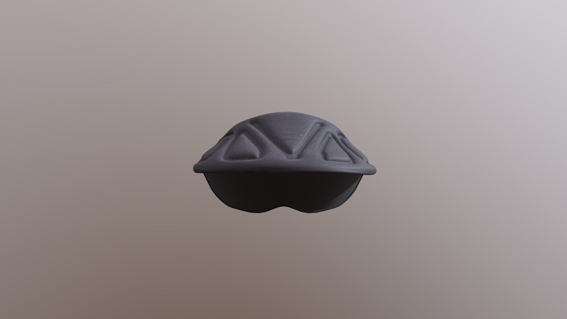 Sportlens Visor