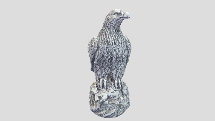 Eagle 3D Model