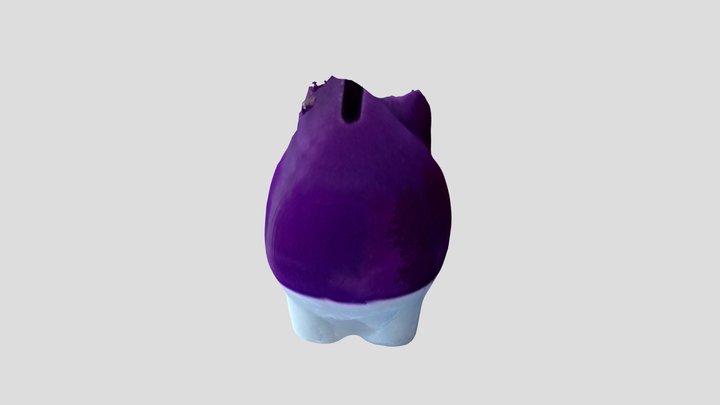 New Qlone 3D Model