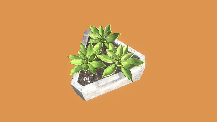 Triangle Cactus 3D Model