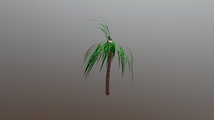 Palm Tree 3D Model