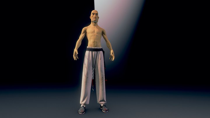 Kung Fu 3D Model