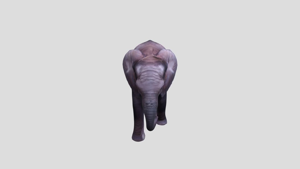 Elephant in the Grass - Less Pol