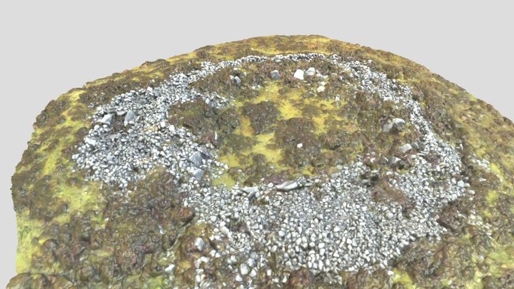 Greenan Central Court Cairns 3D Model
