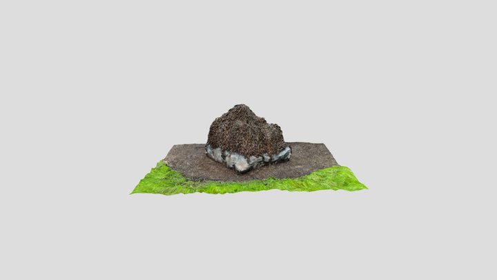 Mt Beerwah 3D Model