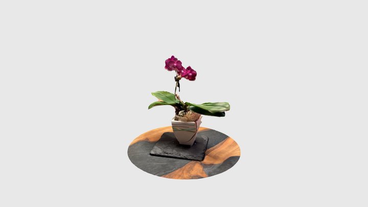 Орхидея 3D Model