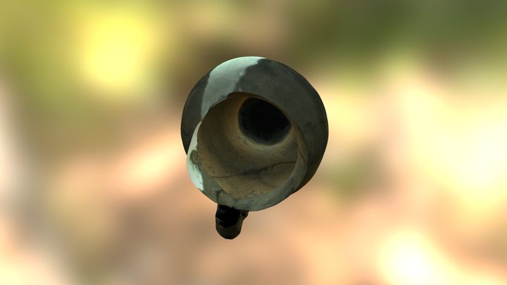 7475 Canita romana 3D Model