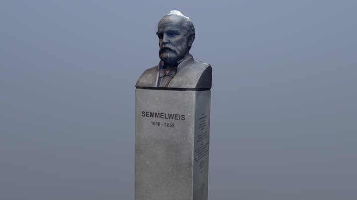 Semmelweis mellszobor Sapientia kertben 3D Model
