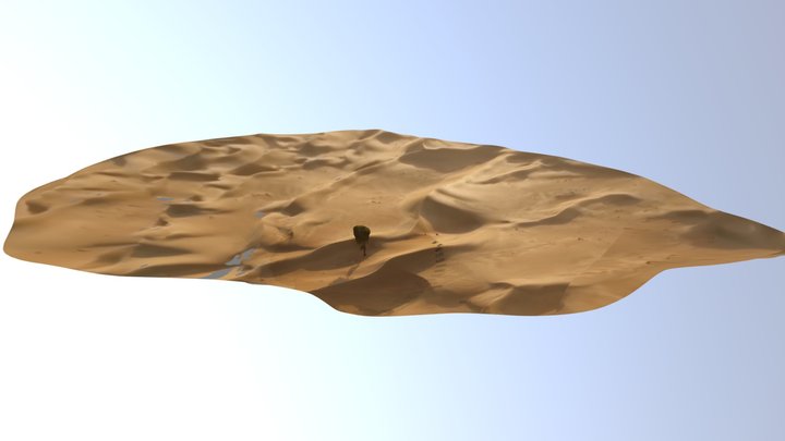 Desert Tree 3D Model