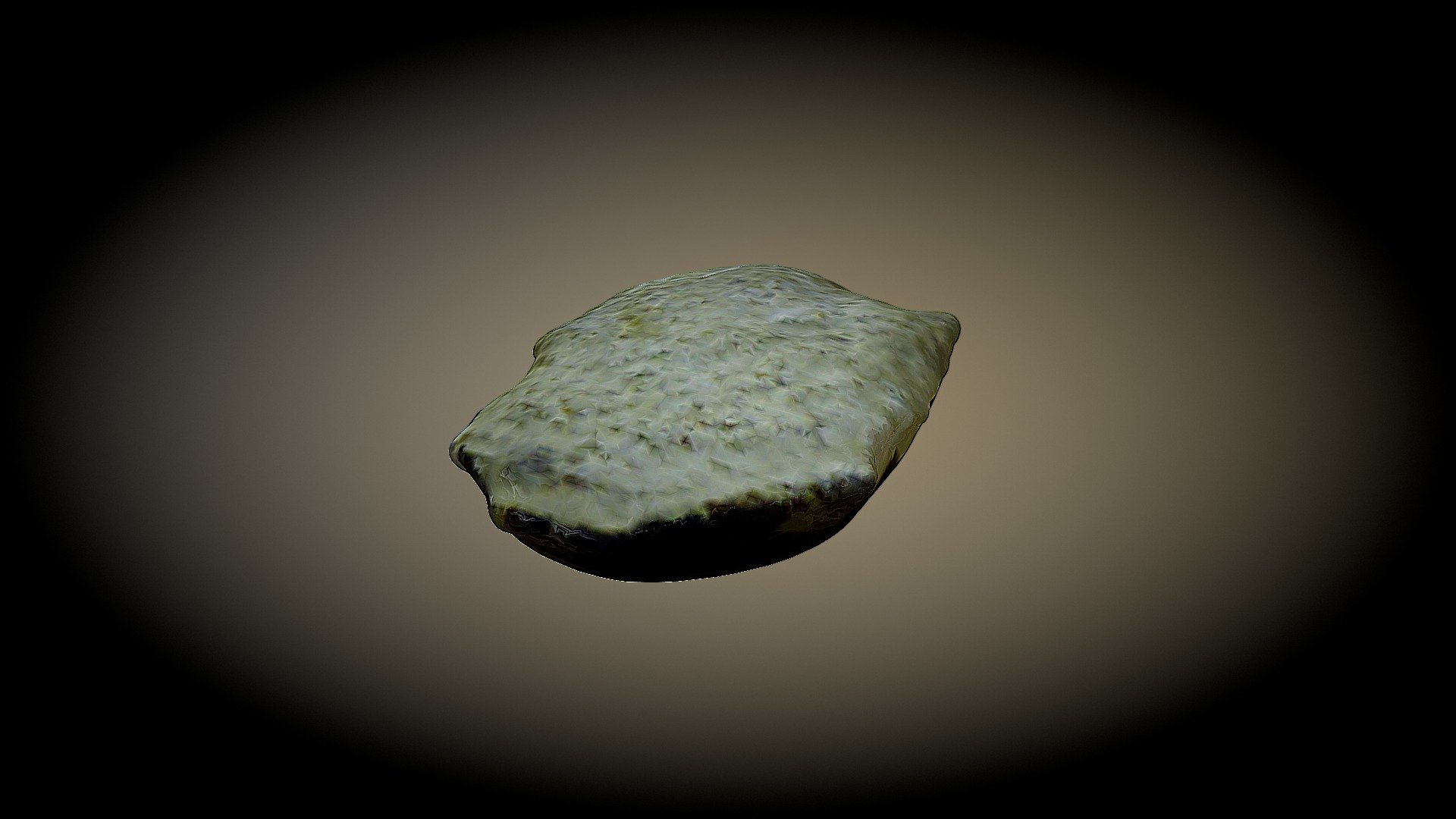 Palaeozoic colonial coral