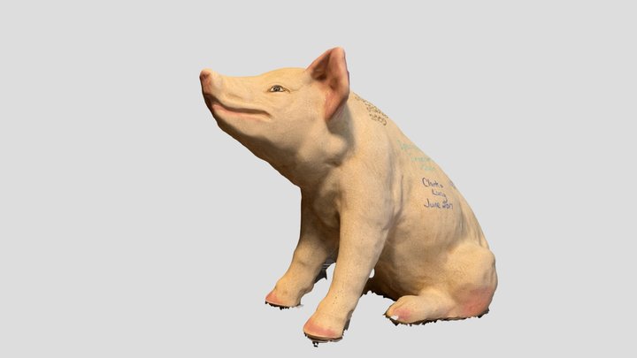 Wedding Pig 3D Model