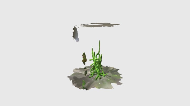 Aempire - David Smith 2 3D Model