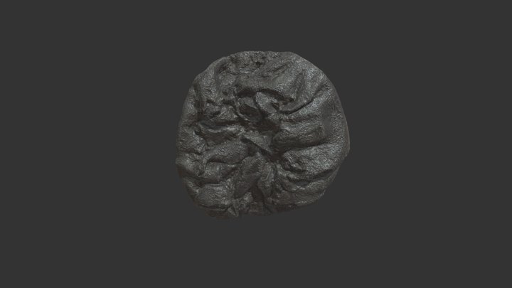 Pouch 3D Model