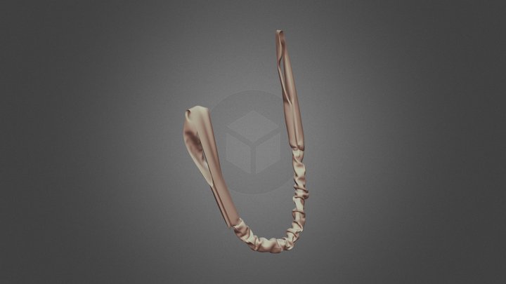 military issued: personal retention lanyard 3D Model