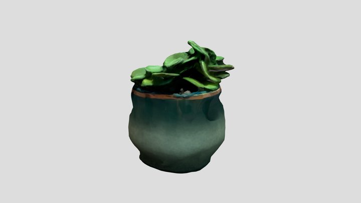Little Plant in Pot 3D Model