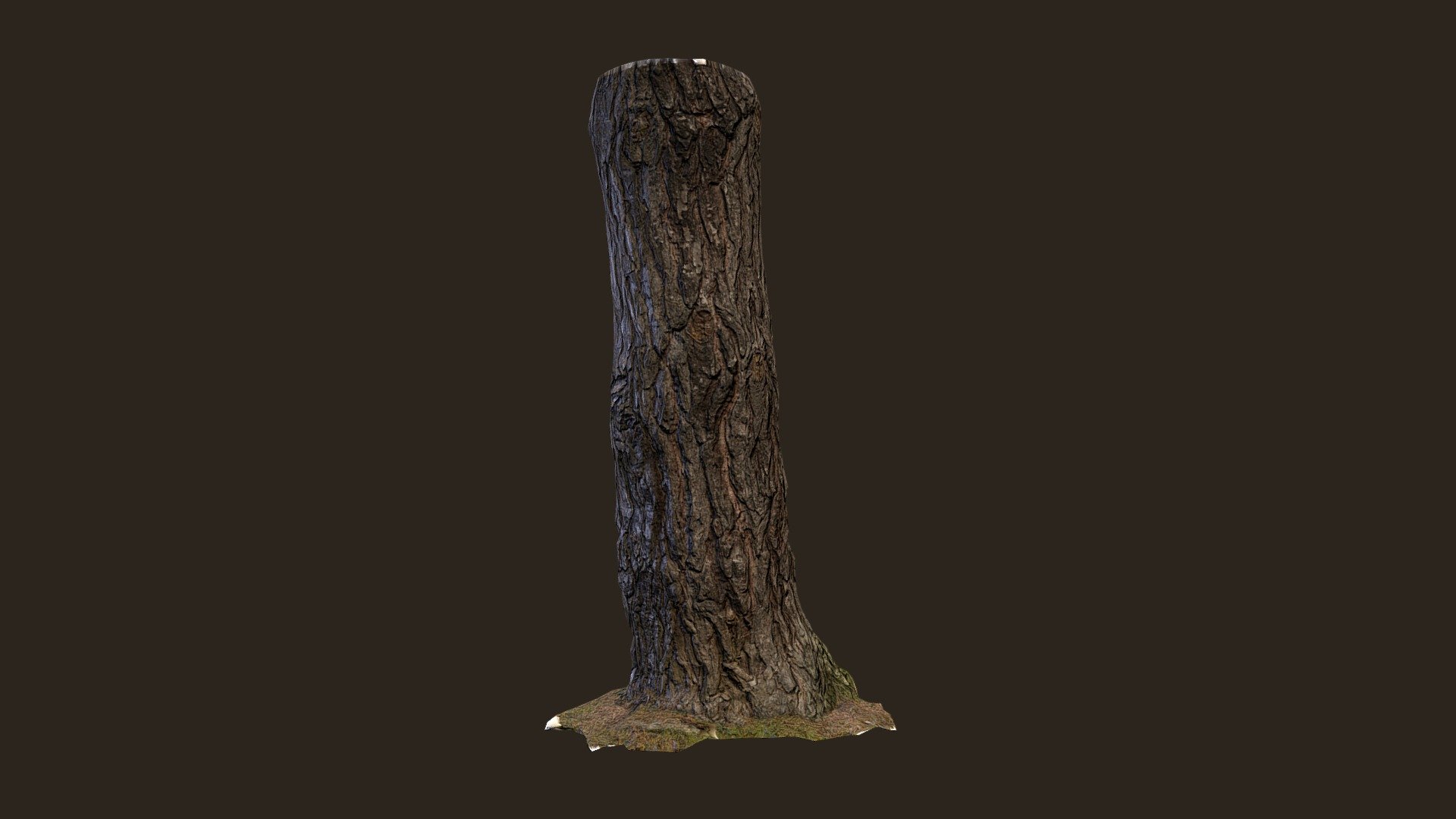 3D scanned tree trunk 11