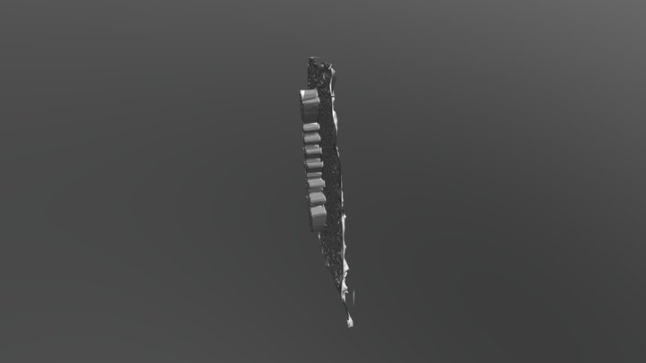 Fish Model 3D Model