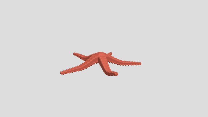 Starfish 3D Model