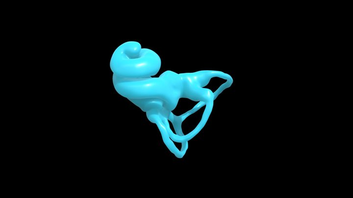 Mus musculus (mouse) Cochlea 3D Model