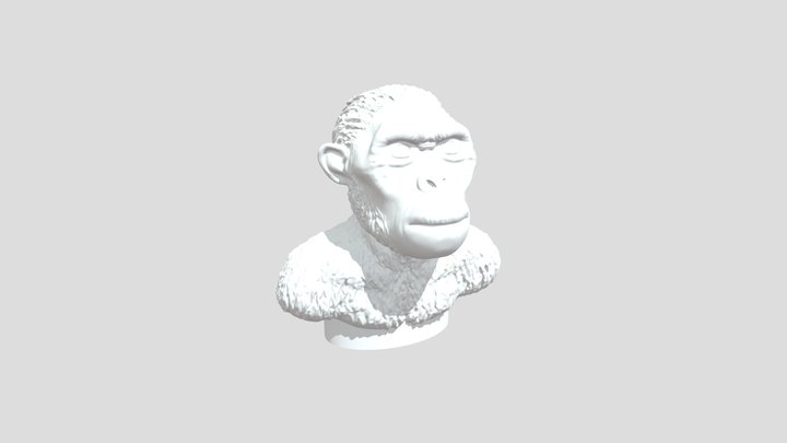 Australopithecus 3D Model