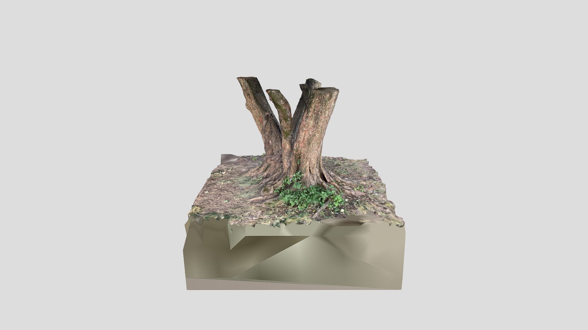 RealityScan 2022-07-04T18:26:07.101Z