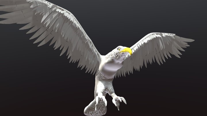 Eagle 2.0