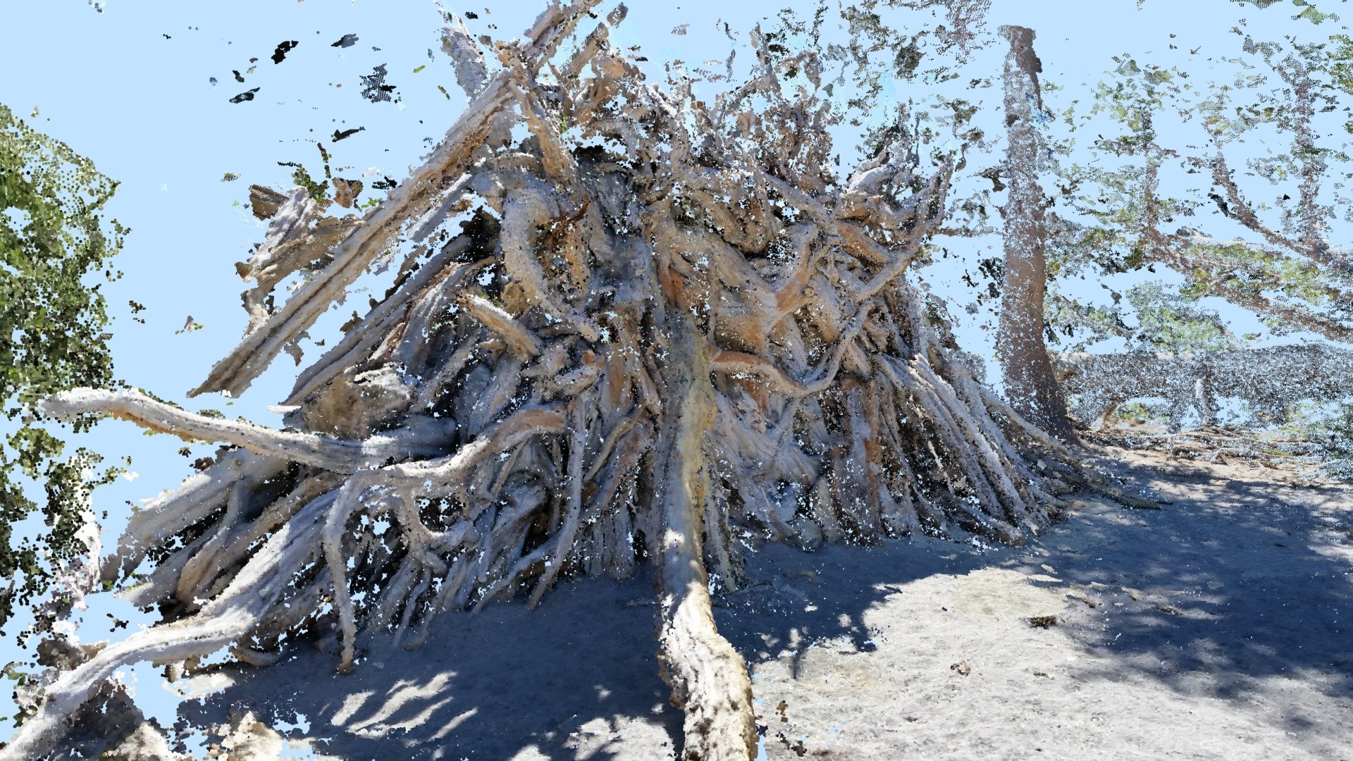 Driftwood Fort